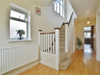 Picture 11